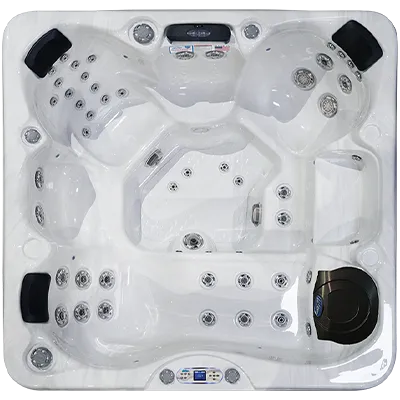 Avalon EC-849L hot tubs for sale in Palmbeach Gardens