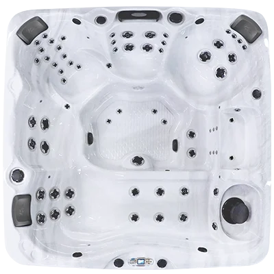 Avalon EC-867L hot tubs for sale in Palmbeach Gardens